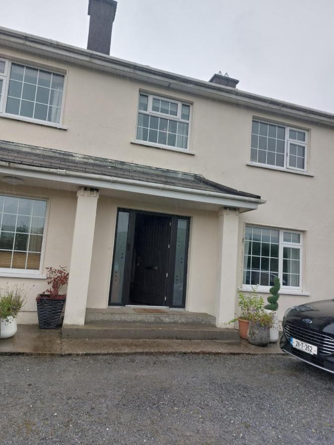 Hillside Haven 2 Appartement Tipperary Buitenkant foto