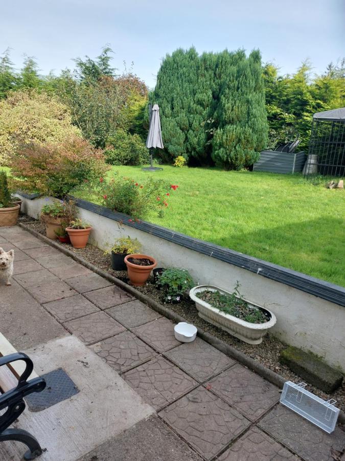Hillside Haven 2 Appartement Tipperary Buitenkant foto